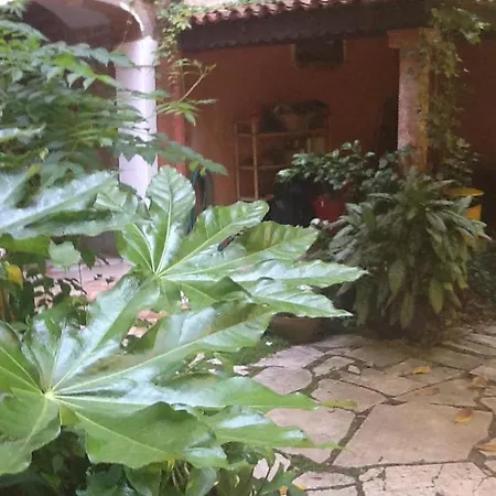 Διαμέρισμα San Marco Garden House Βενετία